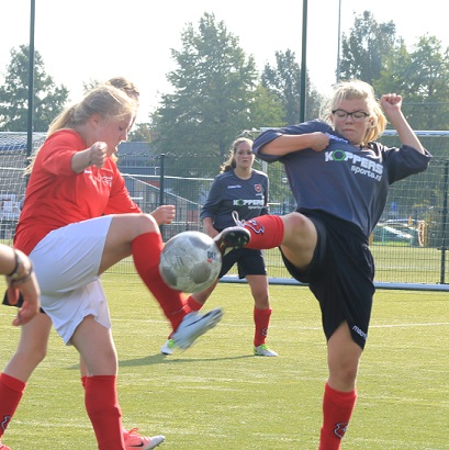 Roda'46 MO17-1 wint nipt van Saestum MO17-1