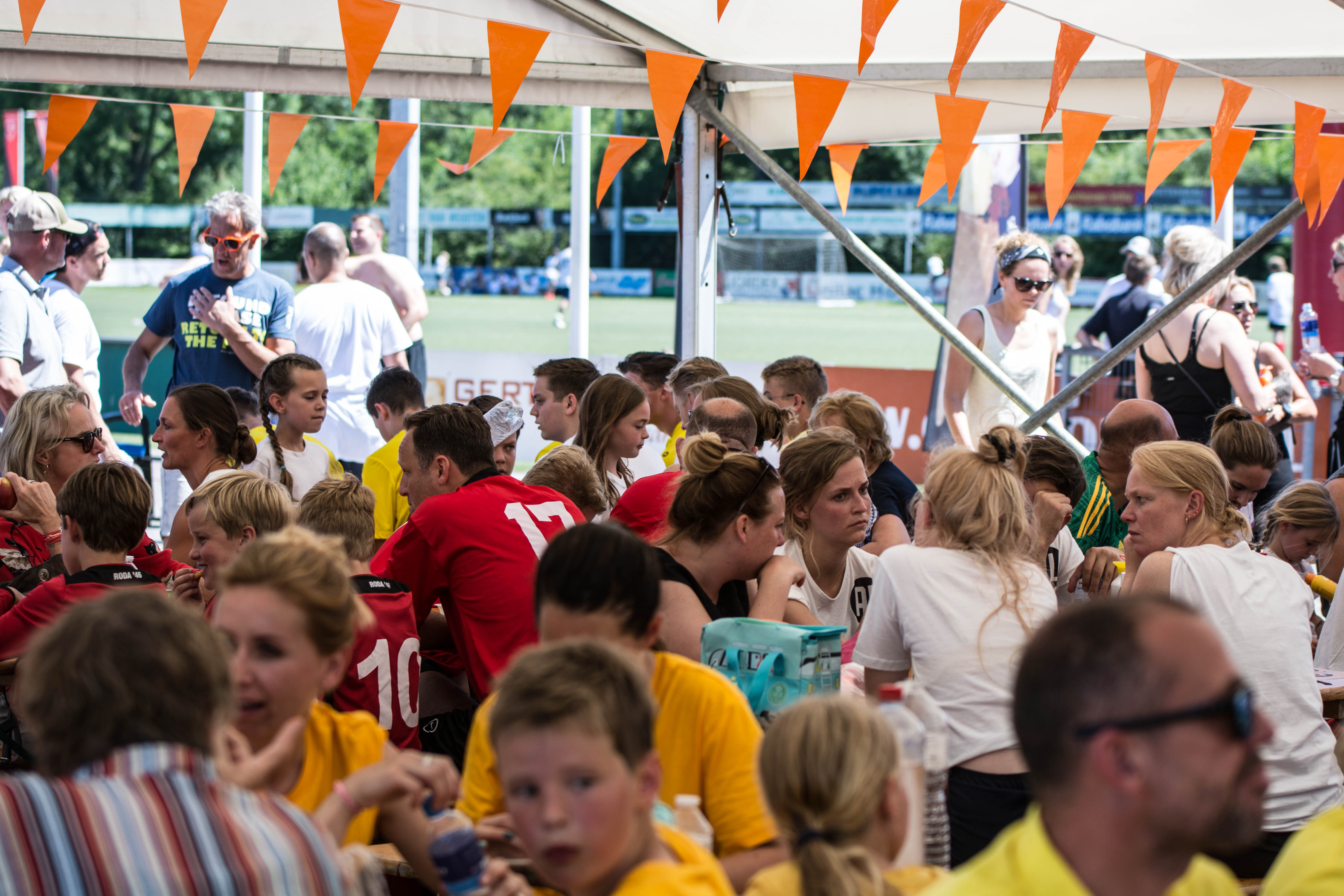 Warme, maar zeer gezellige Reus van Leus