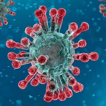 Corona: Hoe nu verder?