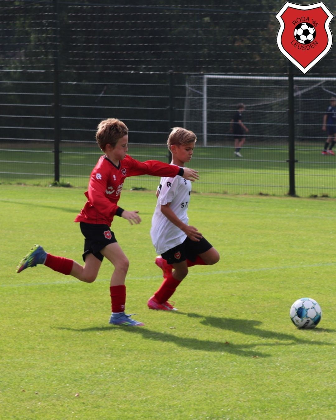 insta nieuw 45 (6).jpg